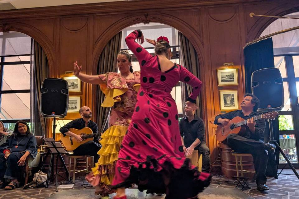 Estampa flamenca única