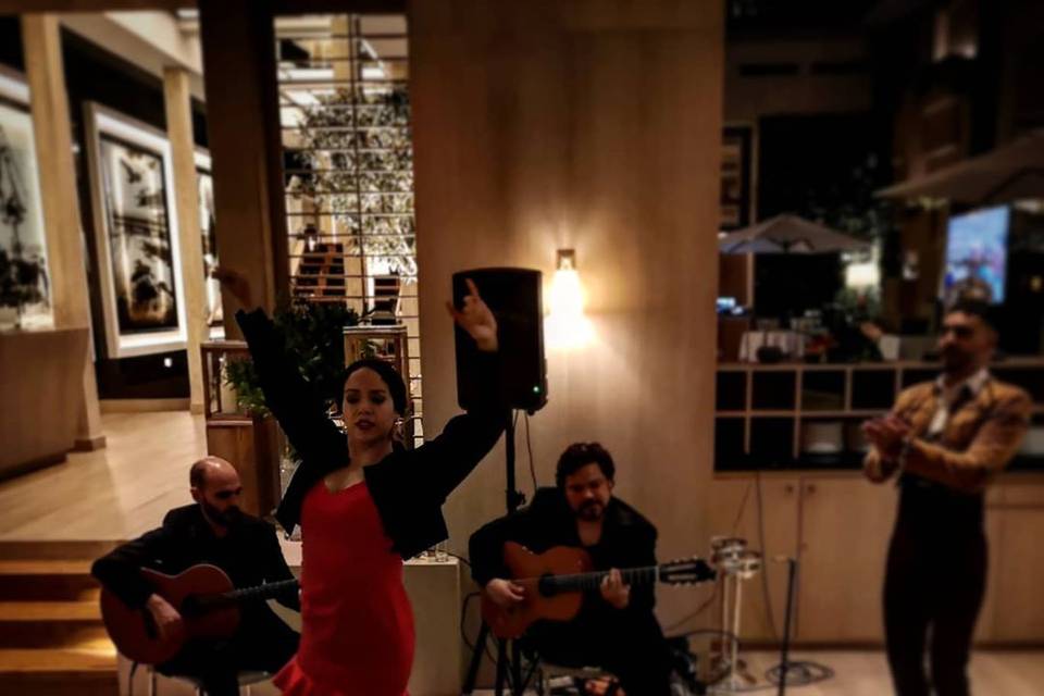 Reuniones flamencas íntimas