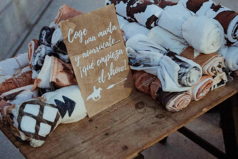 Diseño Boda C&P