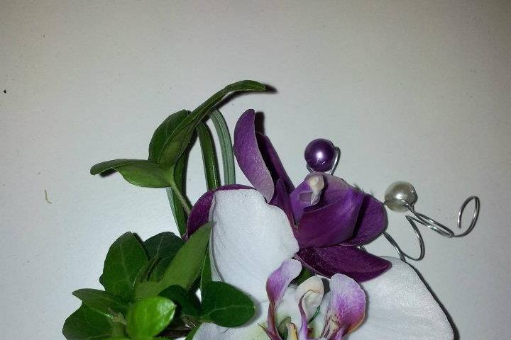 Prendido de orquídea