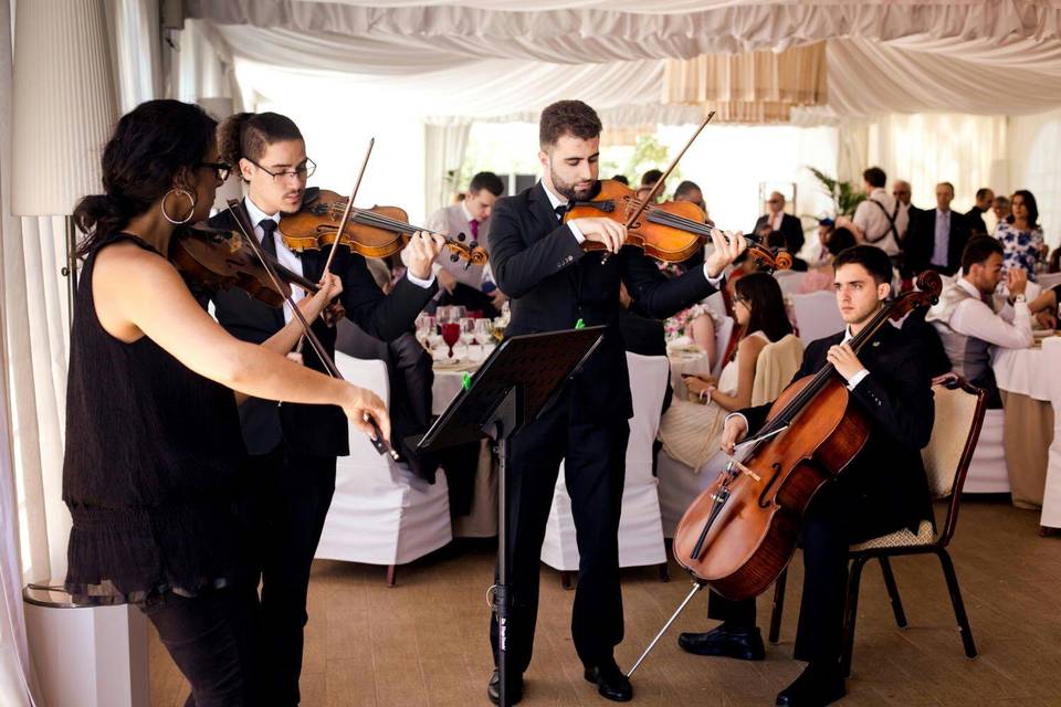 Dúo de violín y viola