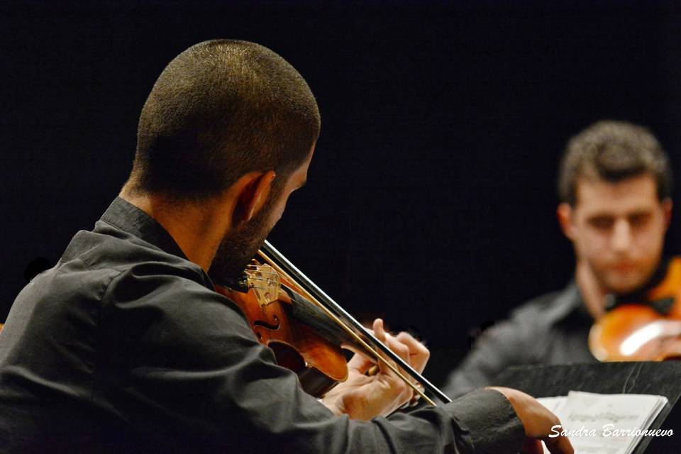 Dúo de violín y viola