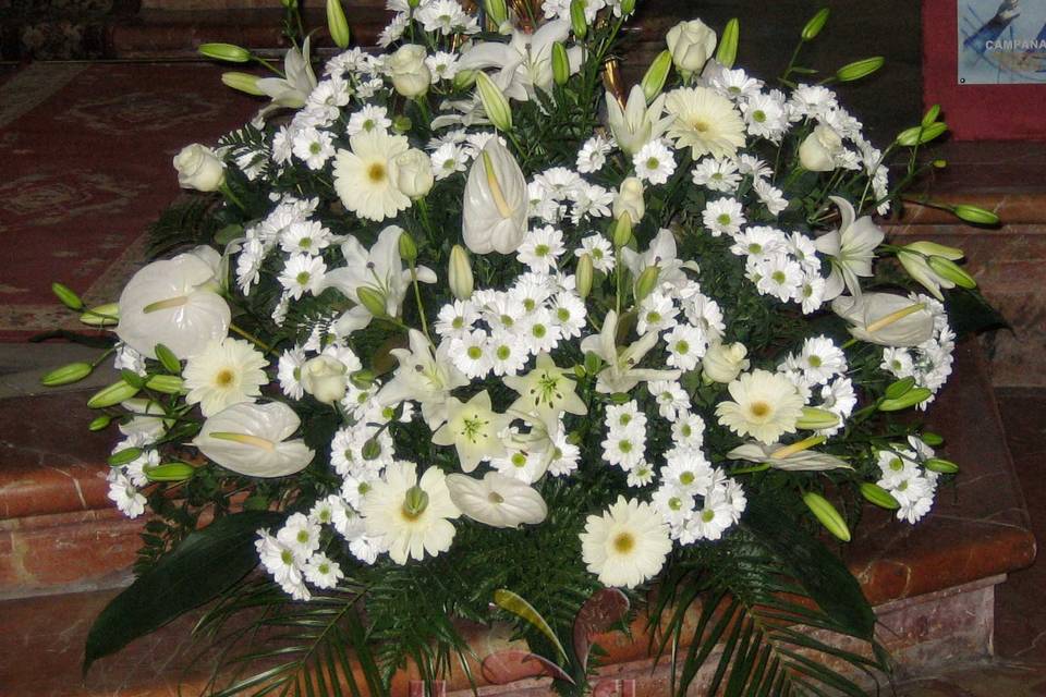 Centro de flores blancas