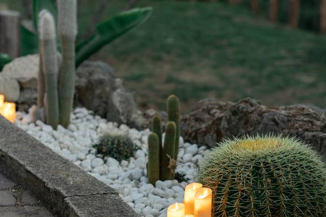 Detalles