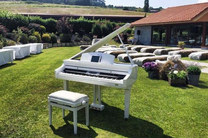 Pianista para Bodas