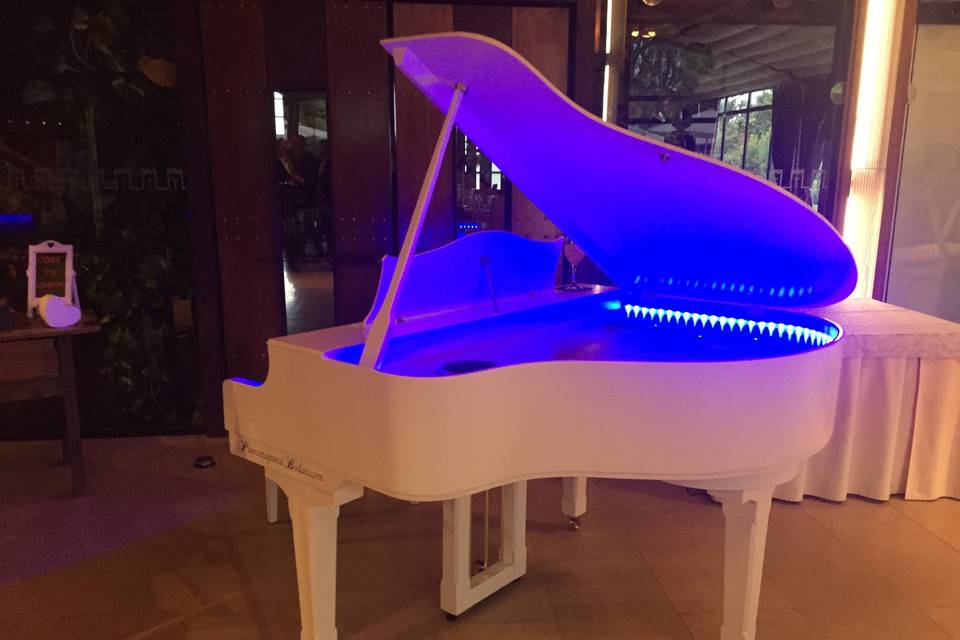 Piano negro con led encendido