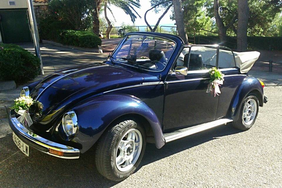 My Little Wedding Beetle