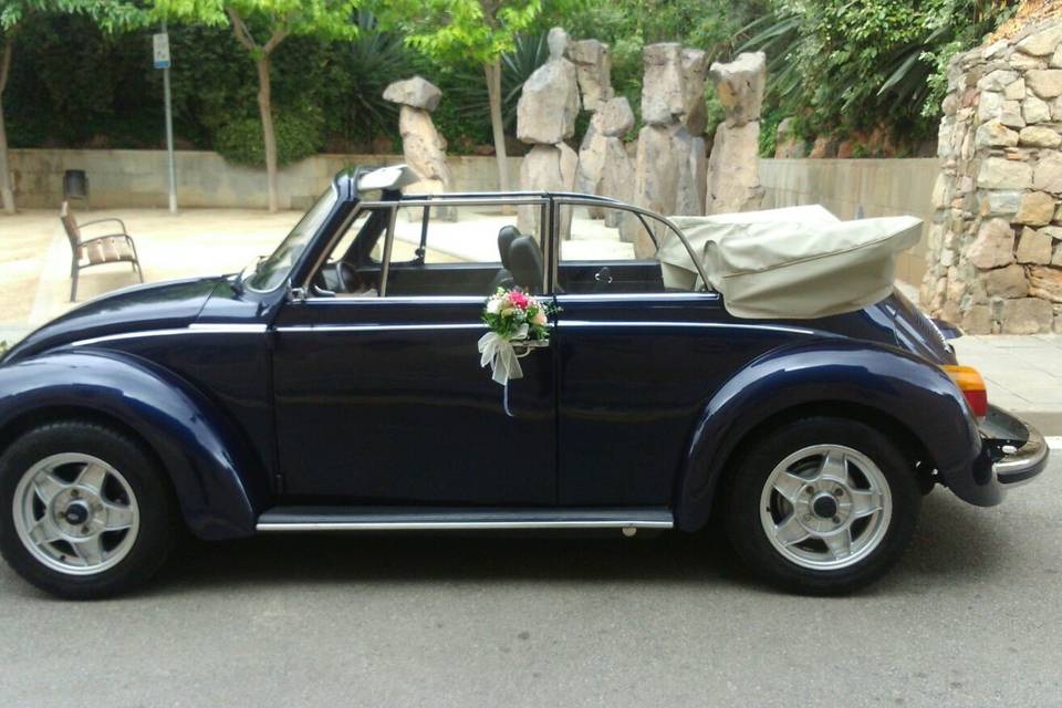 My Little Wedding Beetle