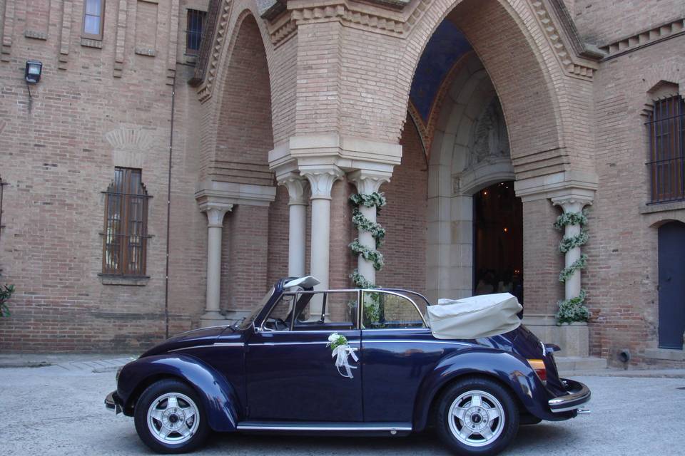 My Little Wedding Beetle