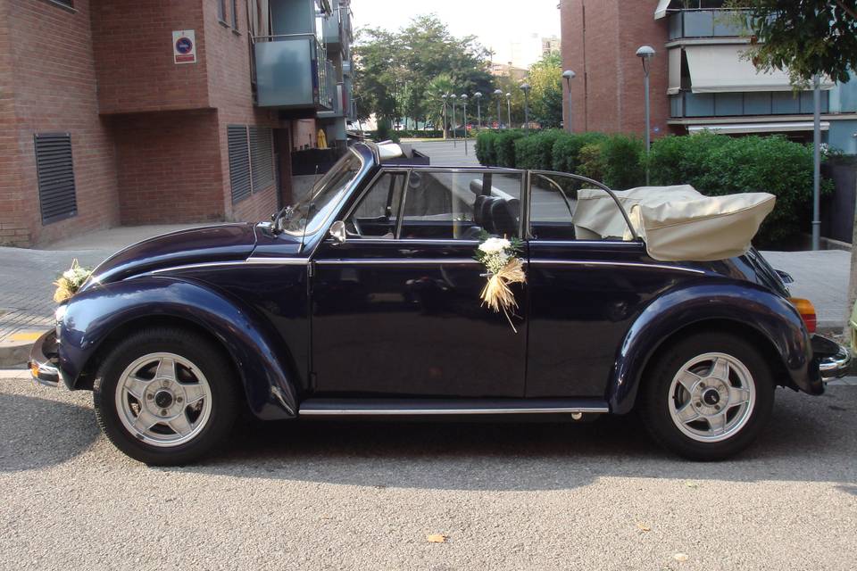 My Little Wedding Beetle