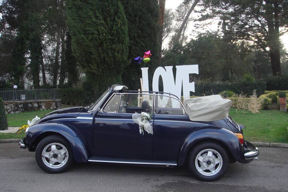 My Little Wedding Beetle