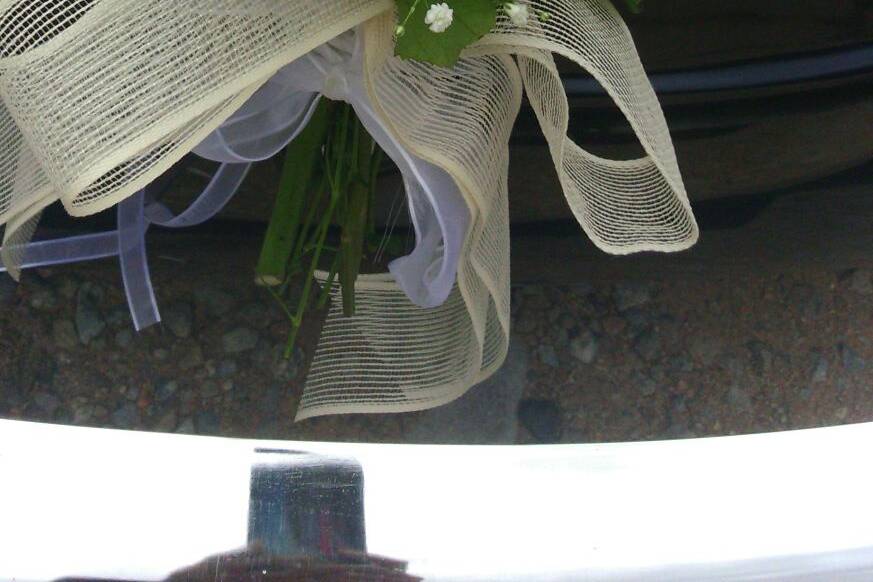 My Little Wedding Beetle