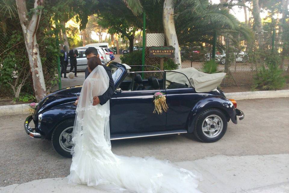 My Little Wedding Beetle