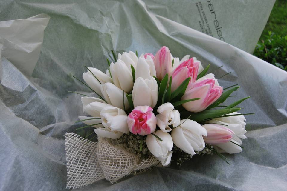 Ramo tulipán color blanco