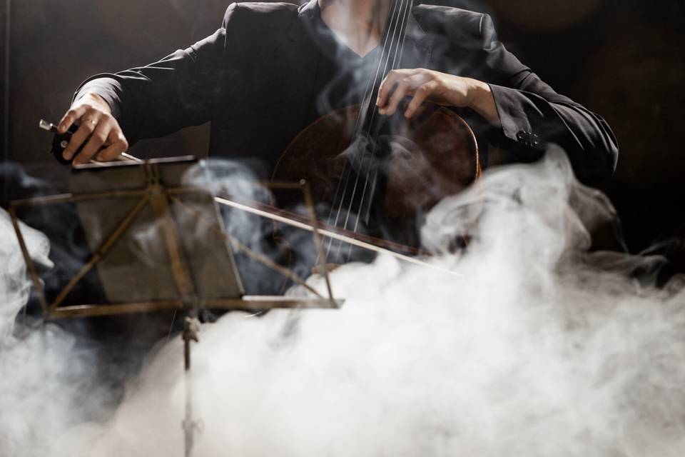 Violonchelo