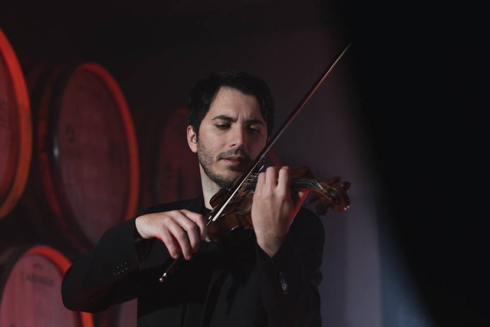 Violín