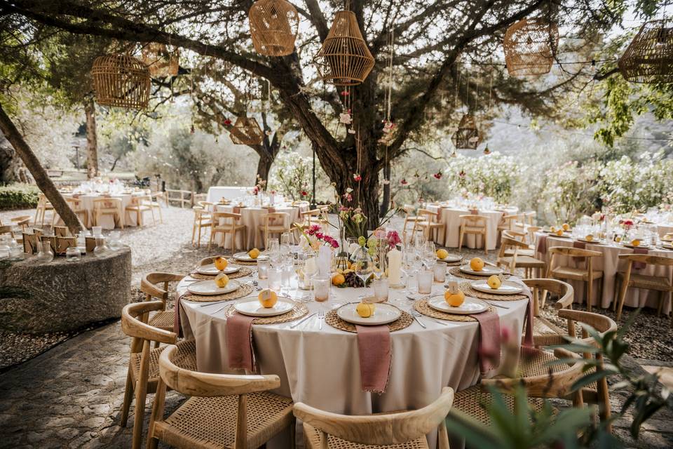 Mesa en jardín