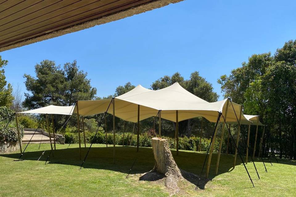 Carpa beduina