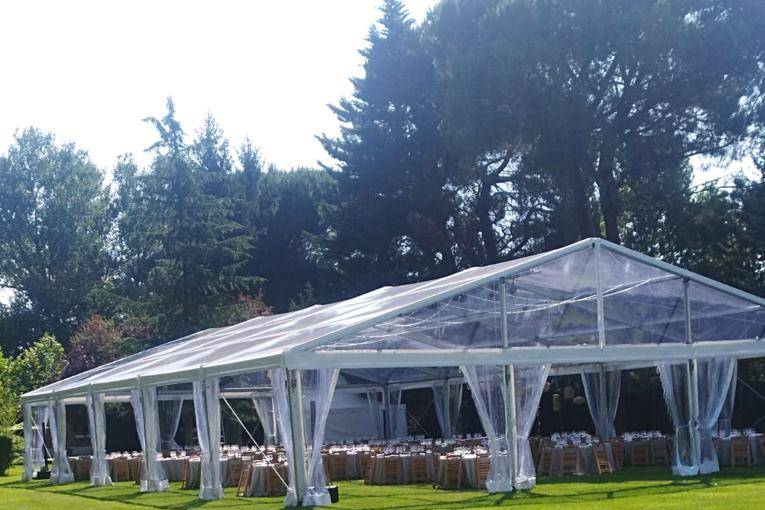 Carpa transparente