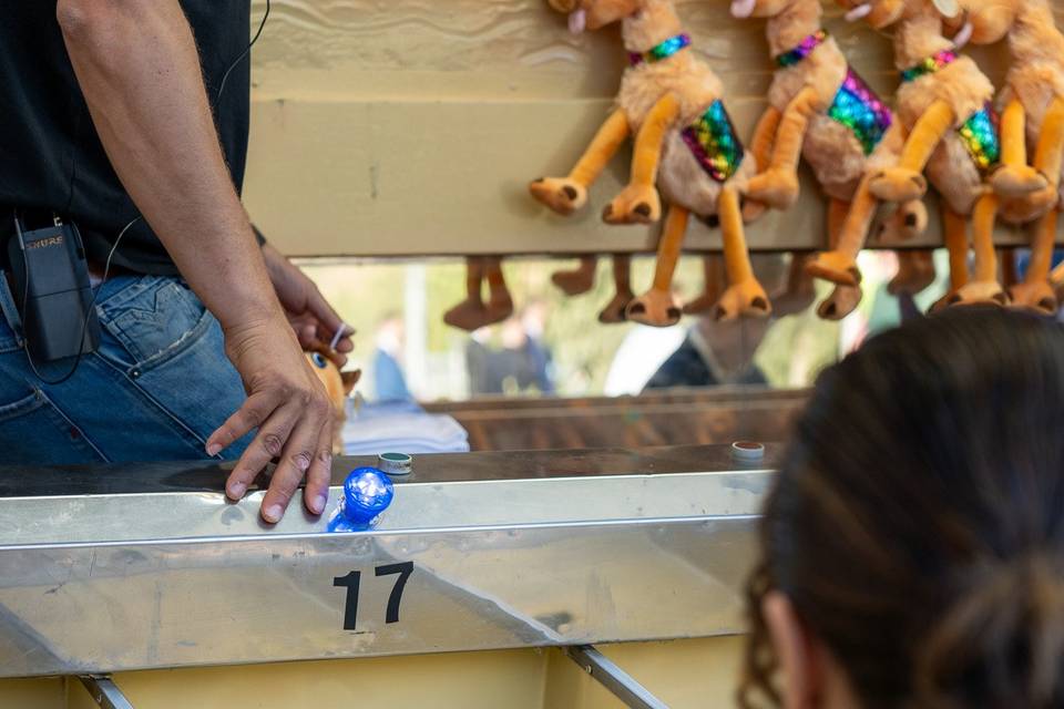 Carrera de camellos