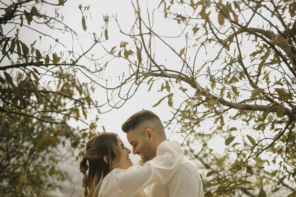 Novios