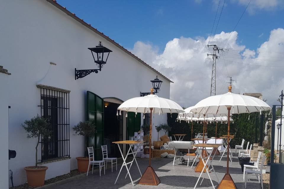 Zona cóctel