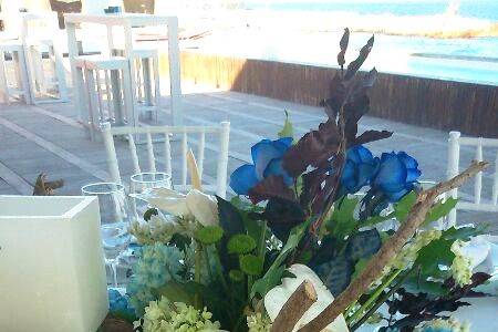 Boda en Isla Marina