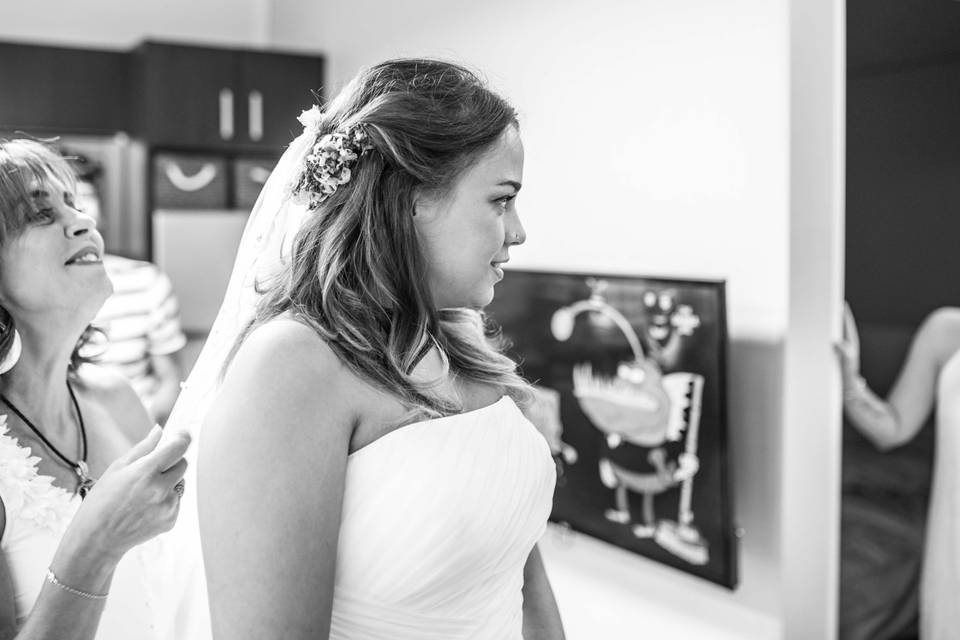 Foto Cigüeñas de Boda