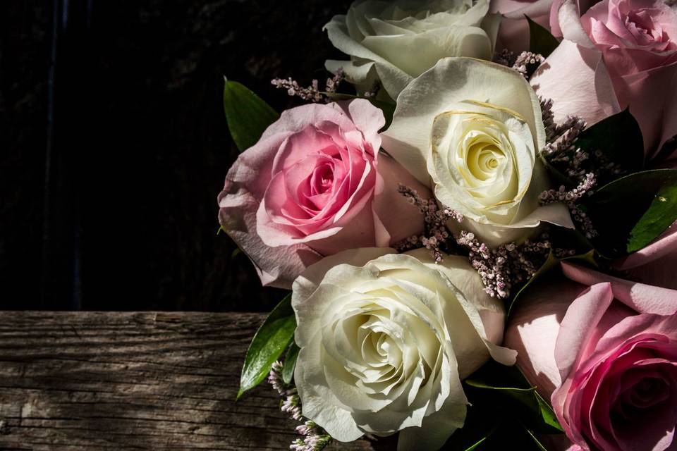 Cigüeñas de Boda