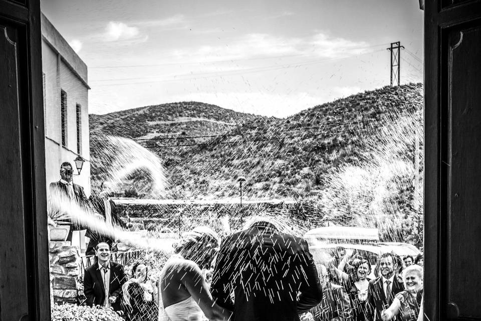 Foto Cigüeñas de Boda