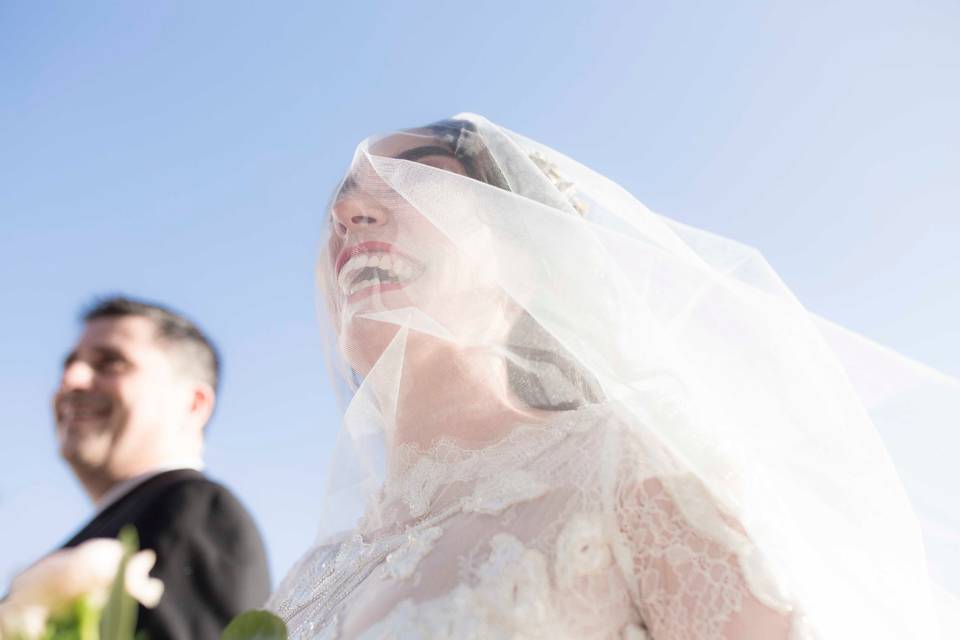 Cigüeñas de Boda