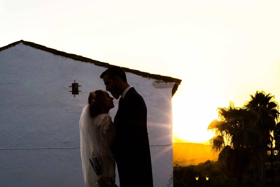 Cigüeñas de Boda