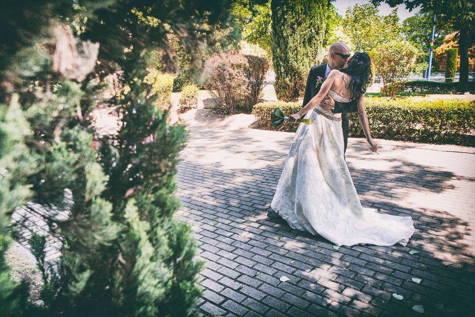 Foto Cigüeñas de Boda