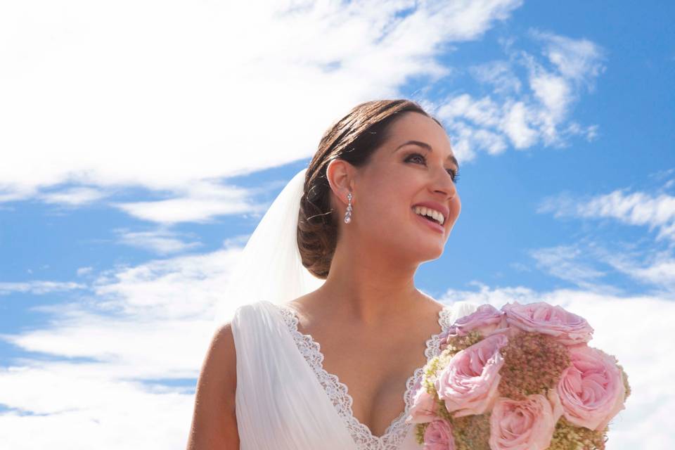 Foto Cigüeñas de Boda