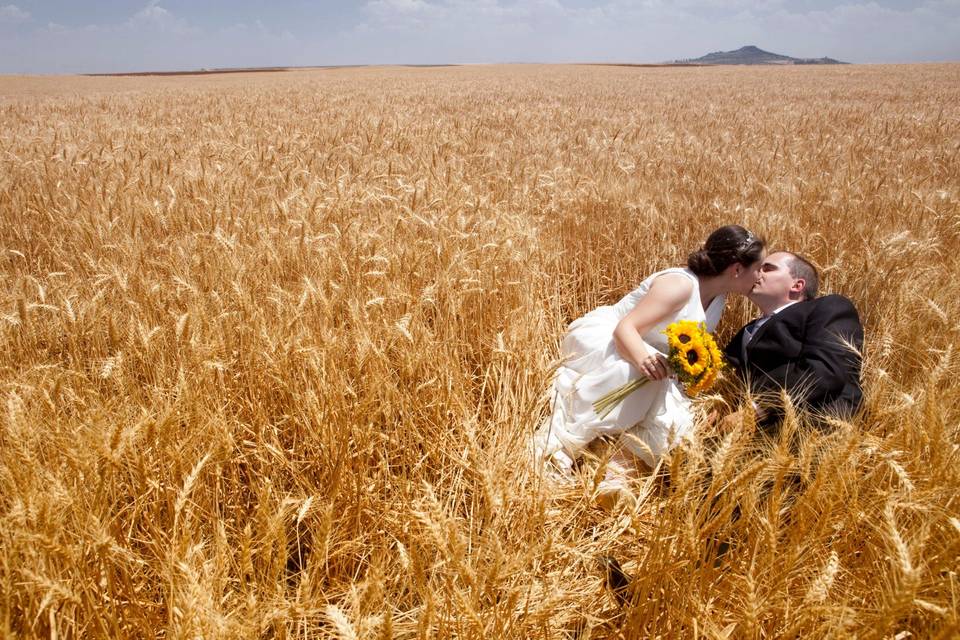 Foto Cigüeñas de Boda