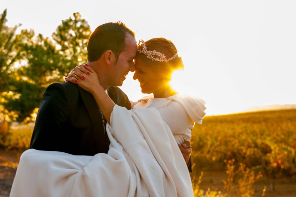 Foto Cigüeñas de Boda