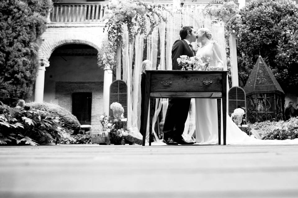 Foto Cigüeñas de Boda