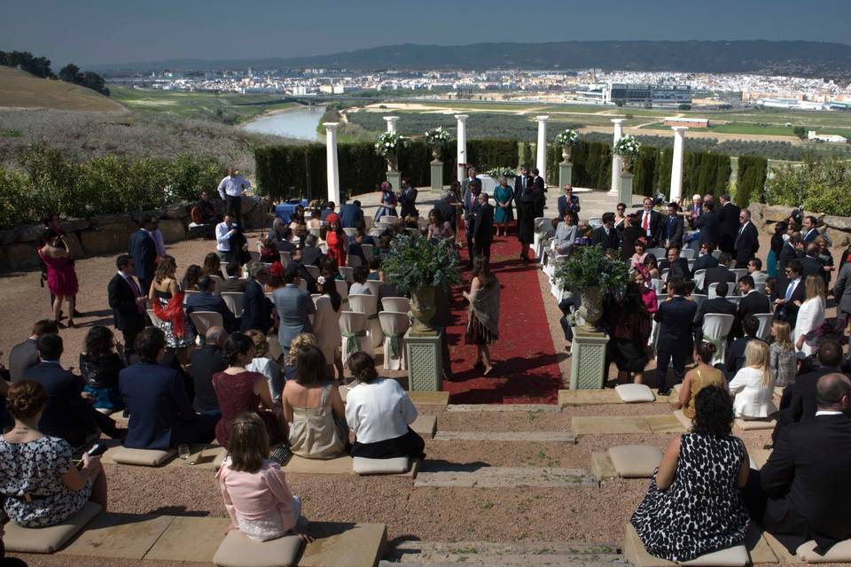 Foto Cigüeñas de Boda