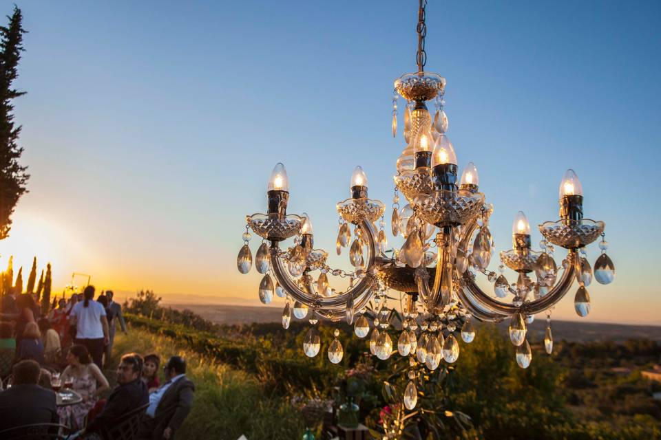 Foto Cigüeñas de Boda