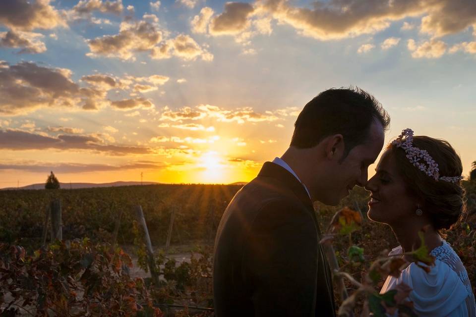 Foto Cigüeñas de Boda