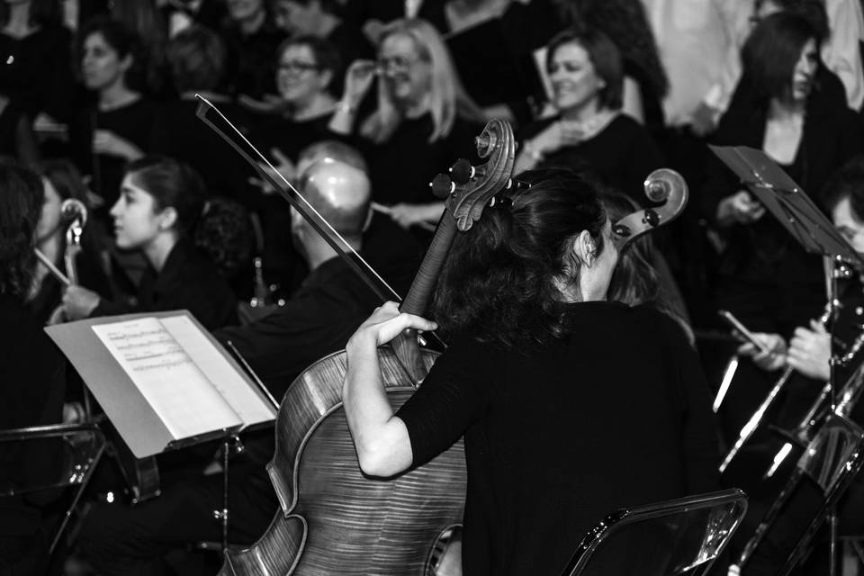 Instrumentos