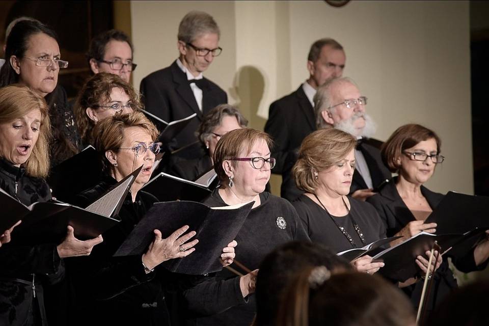 Máxima calidad vocal