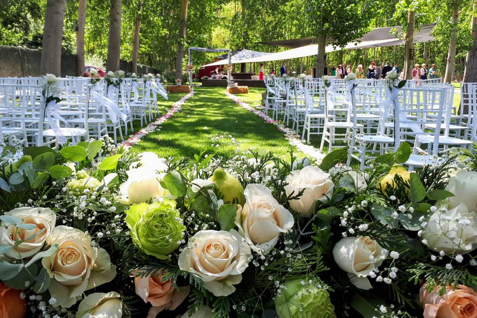 Centro con rosas y limones