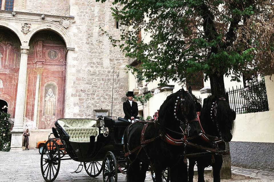 María José Alazar - Carros de caballos