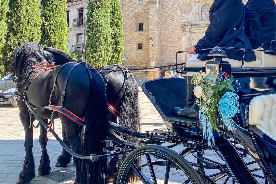 María José Alazar - Carros de caballos