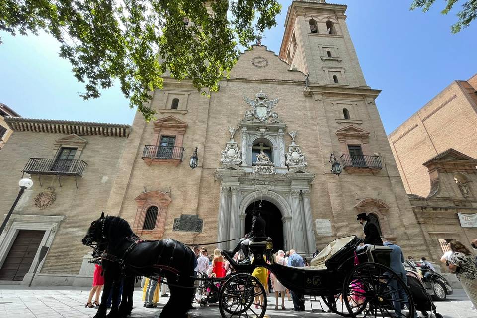 María José Alazar - Carros de caballos