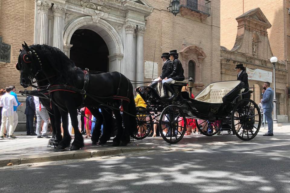 María José Alazar - Carros de caballos