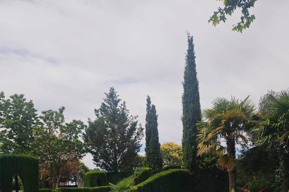 Los paragüas de flores
