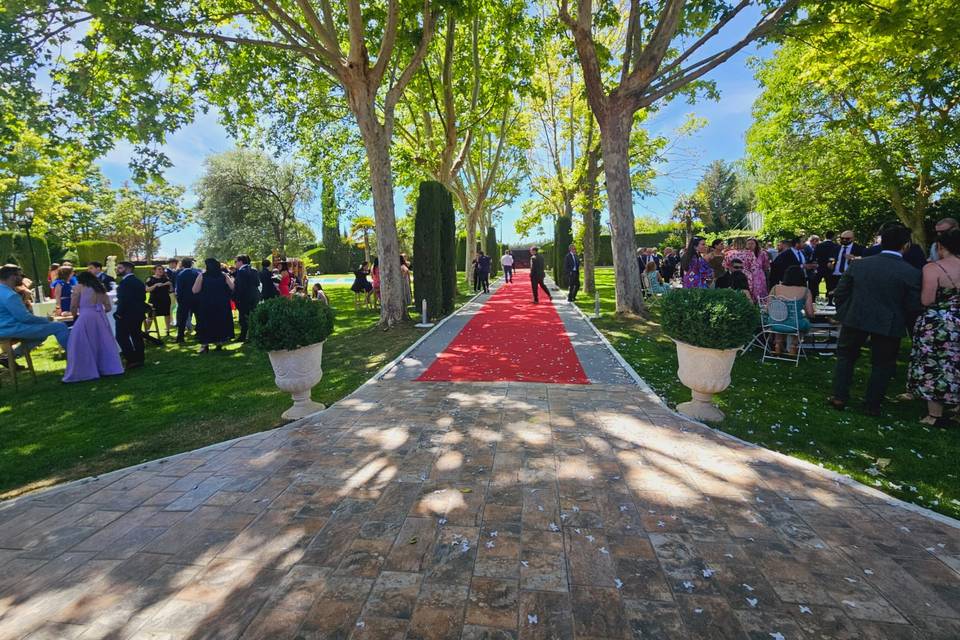 Entrada novios Boda Reliosa