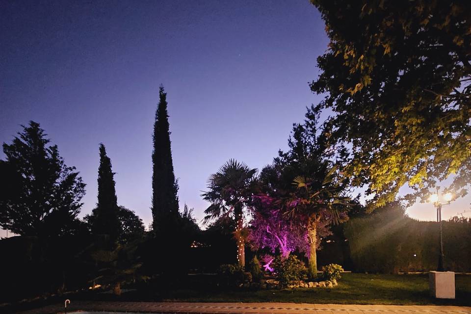 Cae la noche